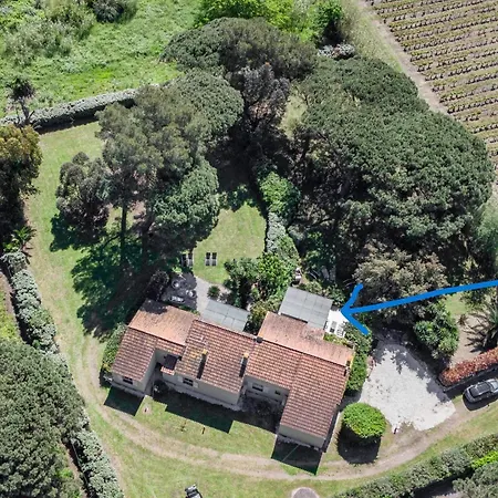 Holiday home Les Romarins Saint-Tropez