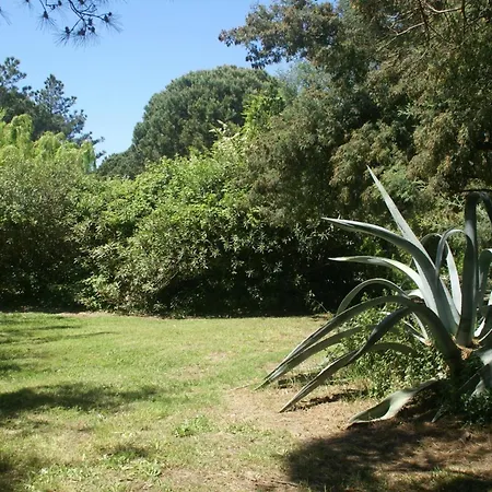 Holiday home Les Romarins *