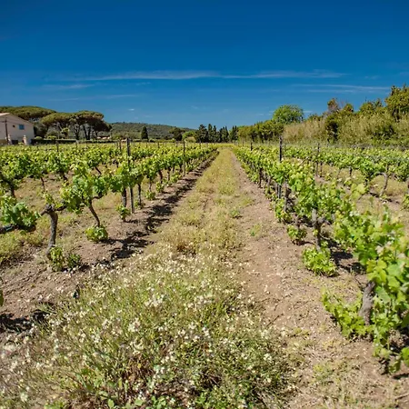 Holiday home Les Romarins Saint-Tropez